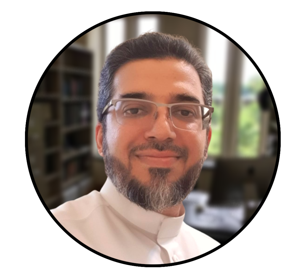 IT Consultant Profile